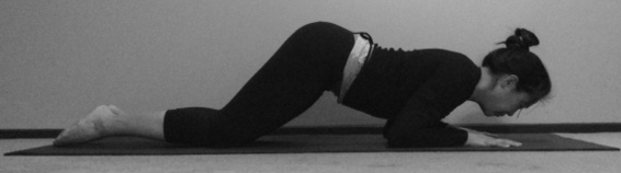 kneeling plank to chaturanga